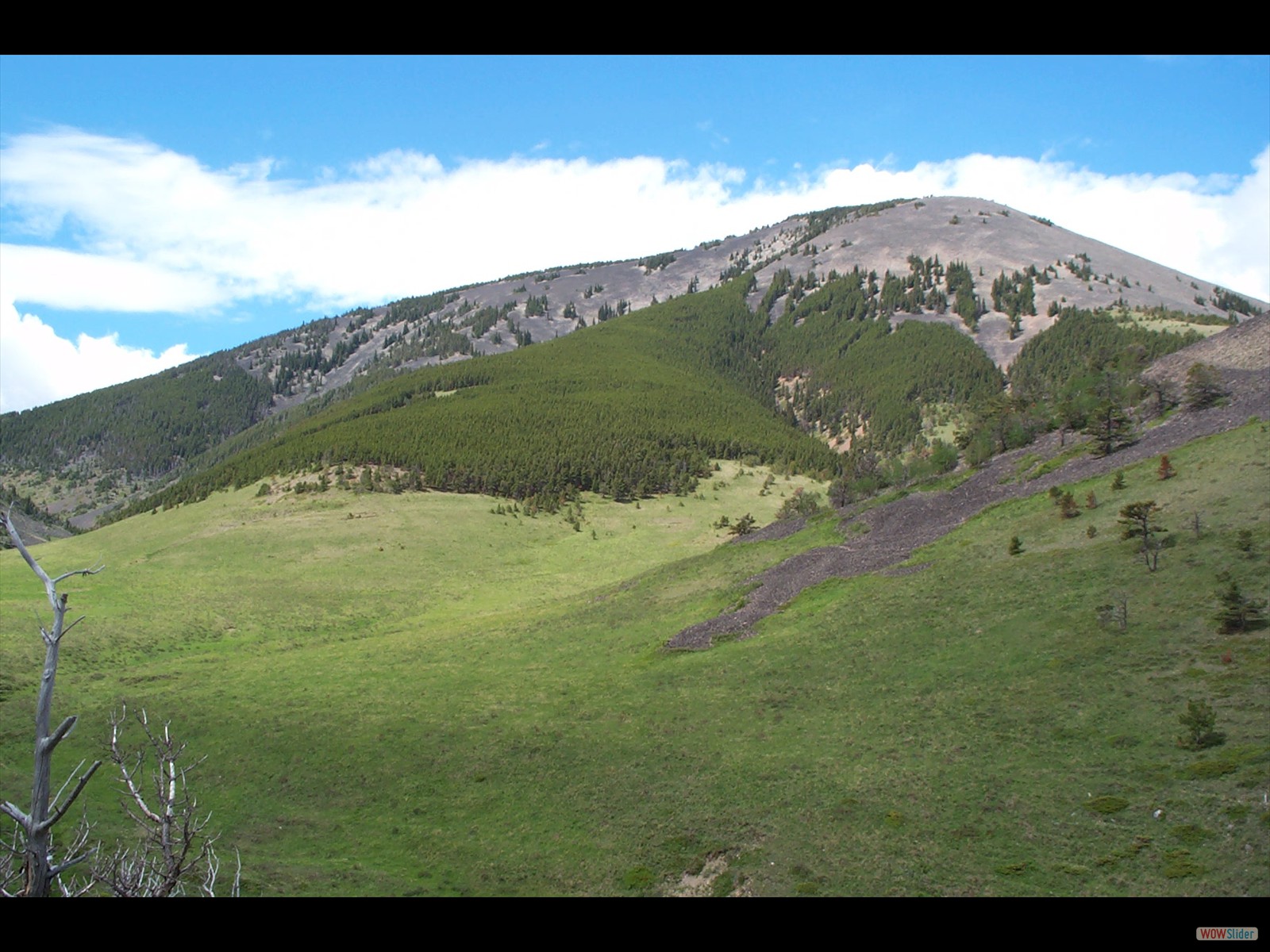 Sweet Grass Hills