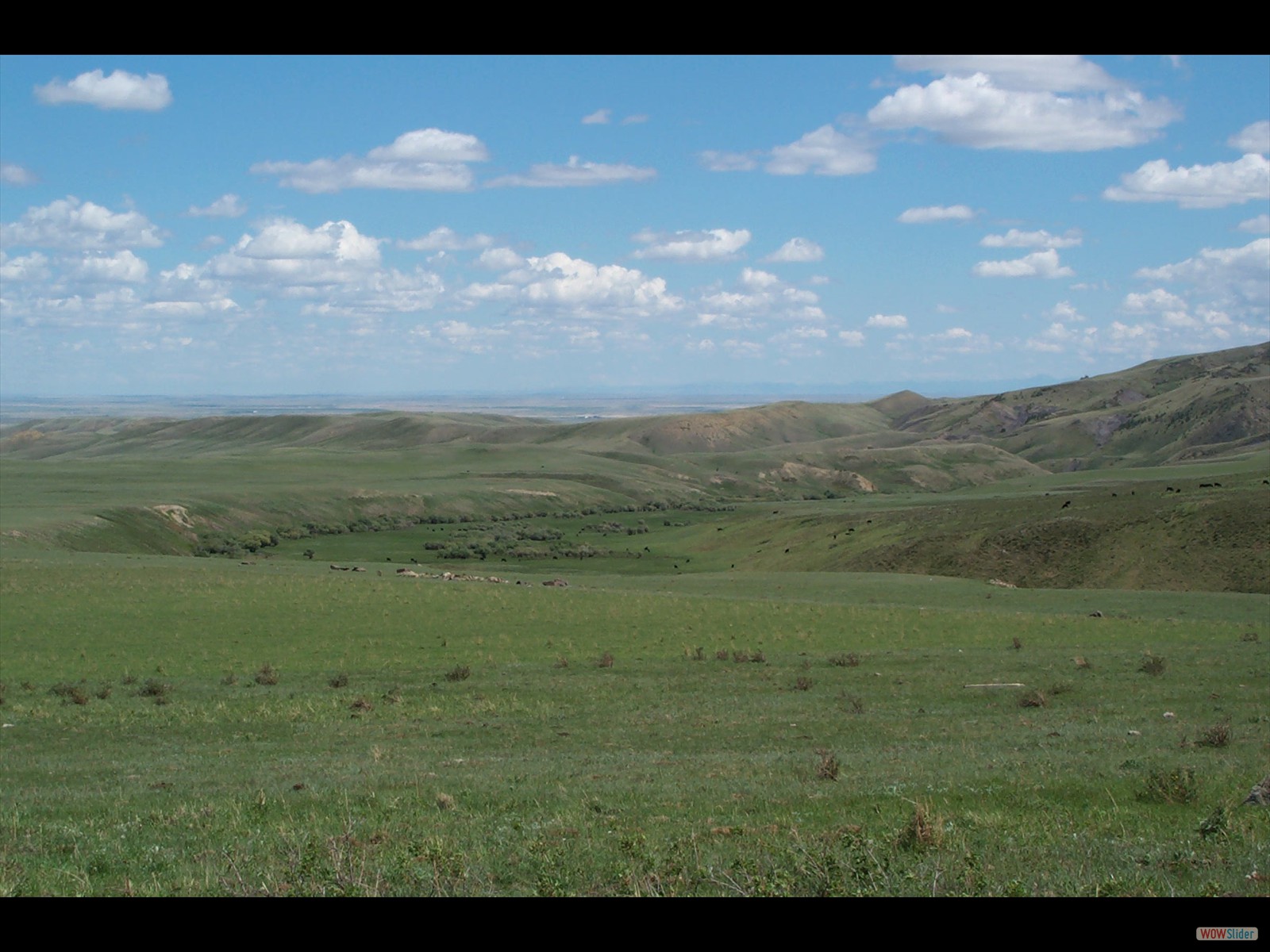 Sweet Grass Hills