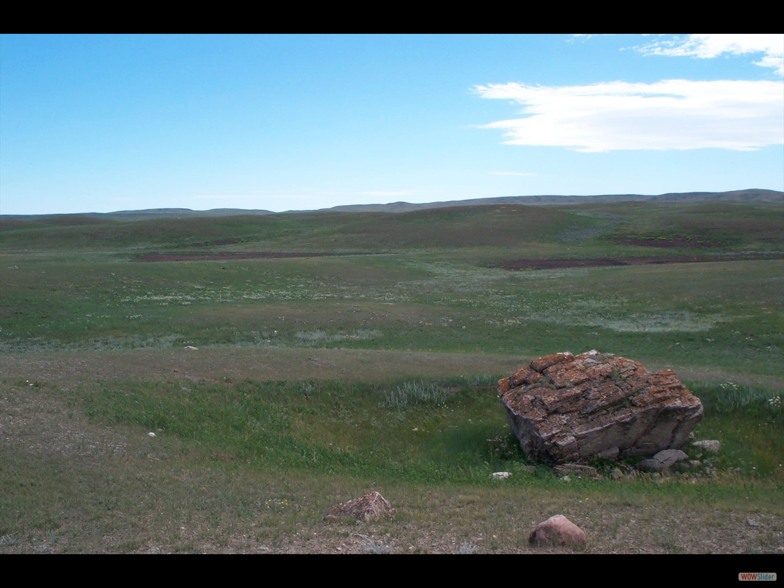 Milk River Native Prairie