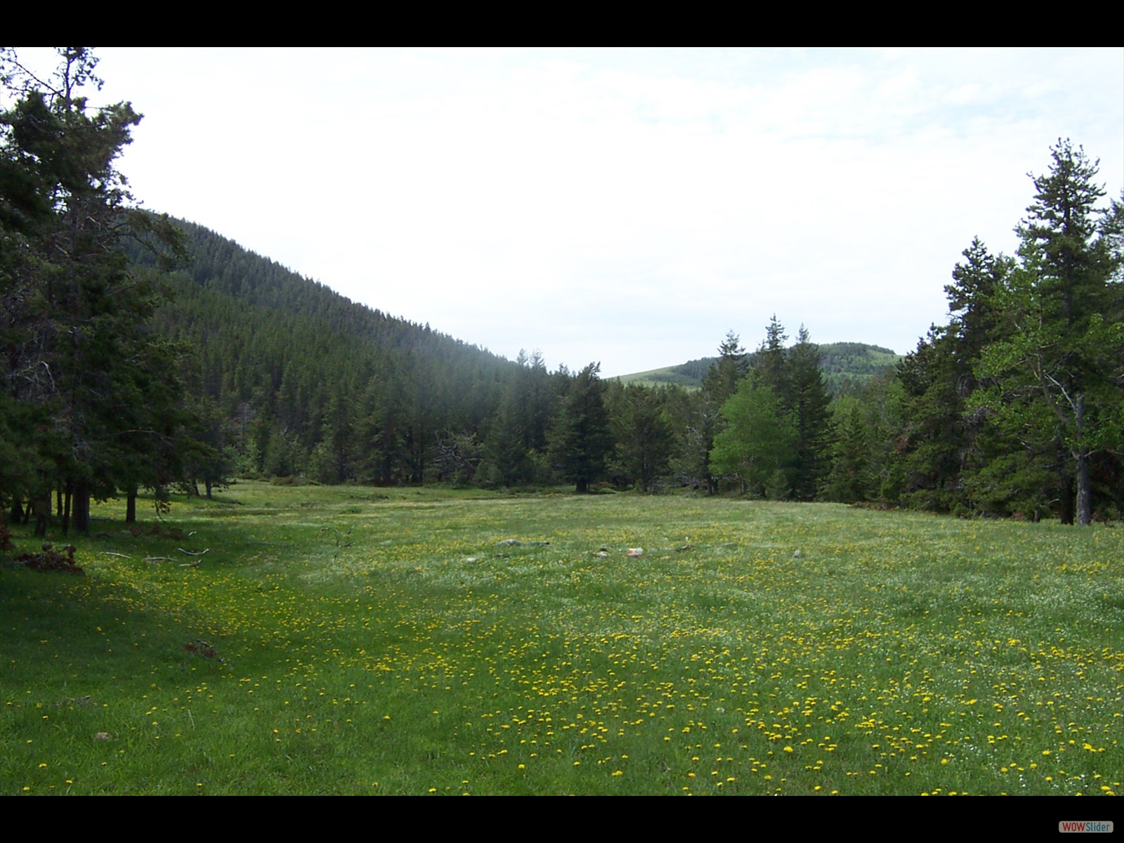 Sweet Grass Hills